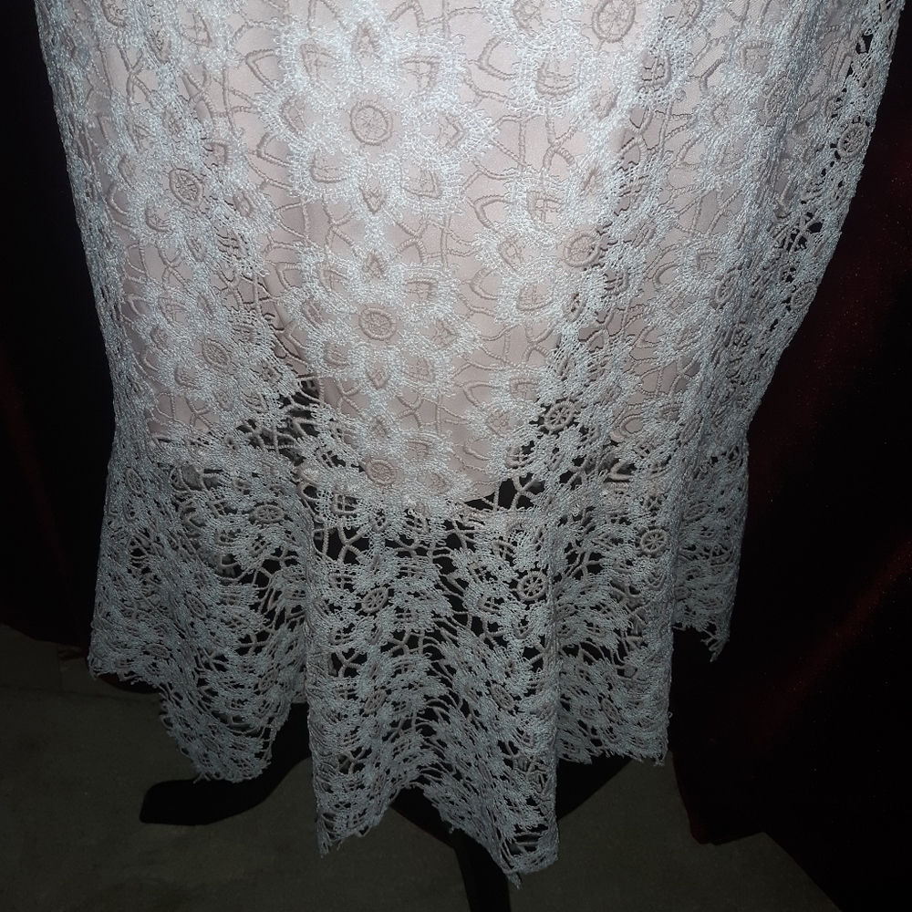 New Tags Saylor Anthropologie Lille Pink Lace Spring Dress L - Picture 9 of 9